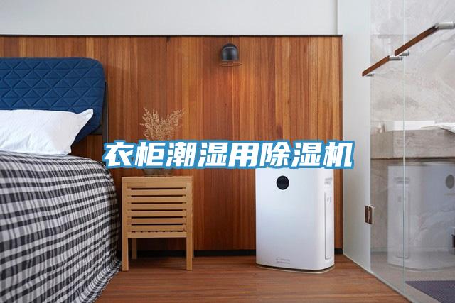 衣柜潮濕用除濕機(jī)