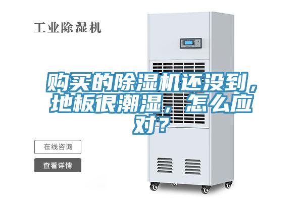 購買的除濕機(jī)還沒到，地板很潮濕，怎么應(yīng)對？