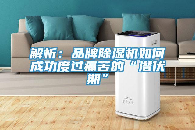 解析：品牌除濕機如何成功度過痛苦的“潛伏期”