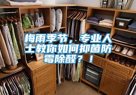 梅雨季節，專業人士教你如何抑菌防霉除醛？！