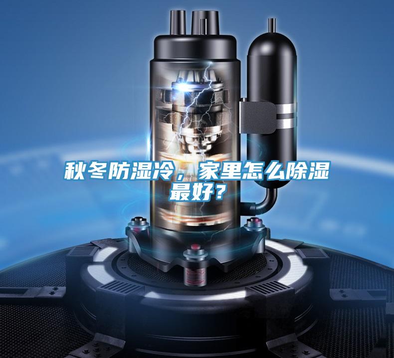 秋冬防濕冷，家里怎么除濕最好？