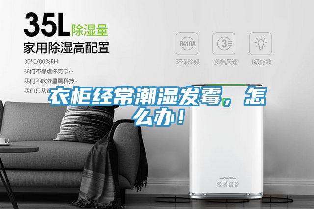 衣柜經(jīng)常潮濕發(fā)霉,怎么辦!