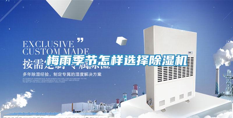 梅雨季節怎樣選擇除濕機