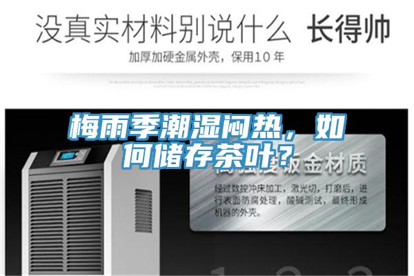 梅雨季潮濕悶熱，如何儲存茶葉？