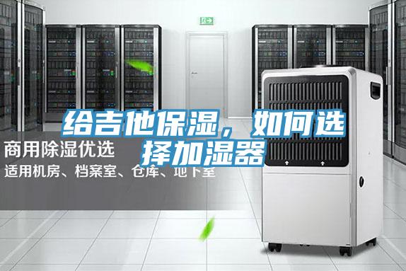 給吉他保濕，如何選擇加濕器