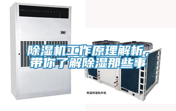 除濕機工作原理解析，帶你了解除濕那些事