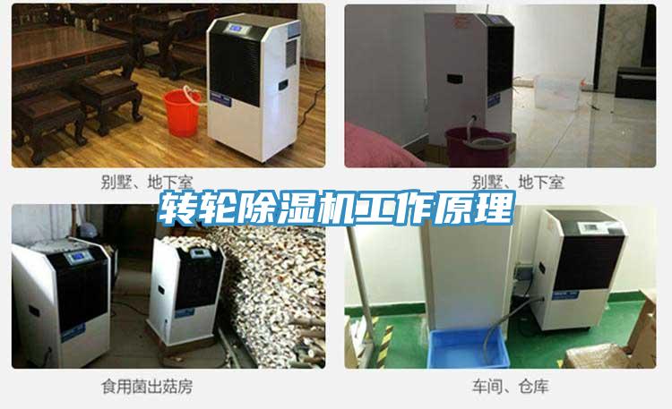 轉輪除濕機工作原理