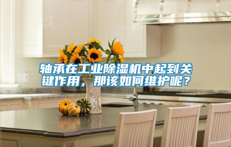 軸承在工業除濕機中起到關鍵作用，那該如何維護呢？