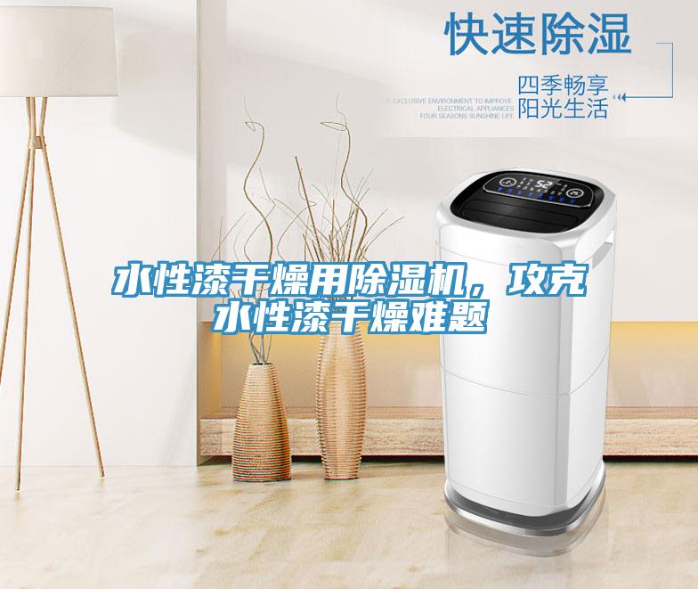 水性漆干燥用除濕機(jī)，攻克水性漆干燥難題