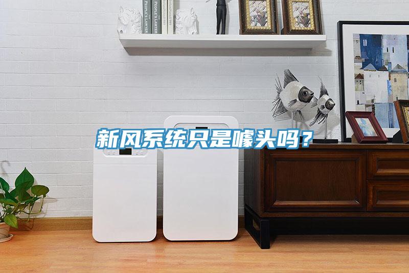 新風系統只是噱頭嗎？