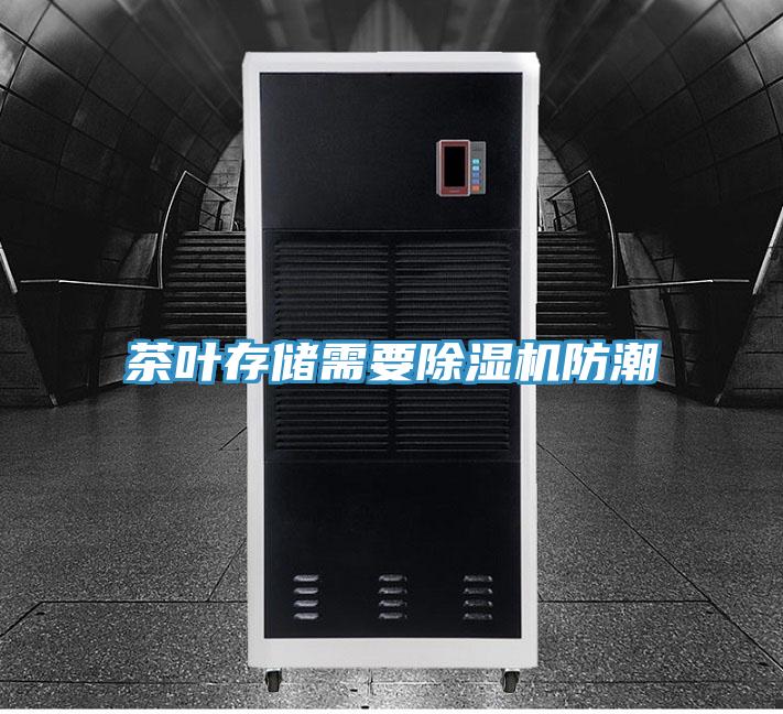 茶葉存儲需要除濕機防潮