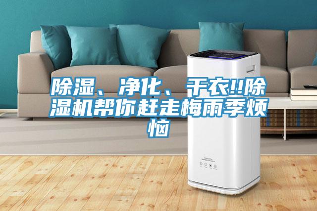 除濕、凈化、干衣!!除濕機幫你趕走梅雨季煩惱