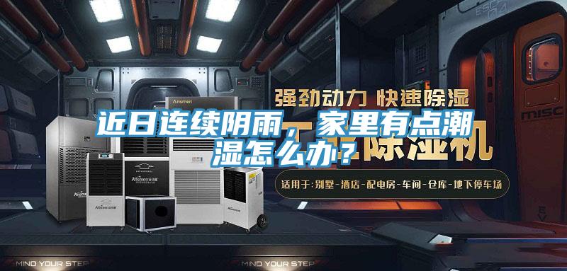 近日連續陰雨，家里有點潮濕怎么辦？