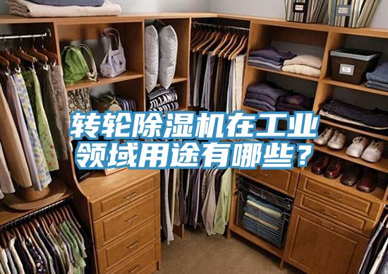 轉輪除濕機在工業領域用途有哪些？