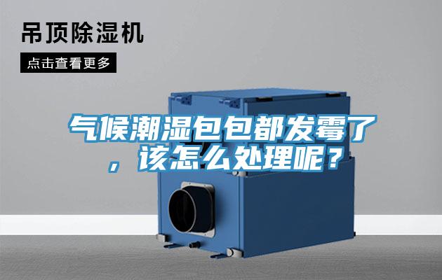 氣候潮濕包包都發(fā)霉了，該怎么處理呢？