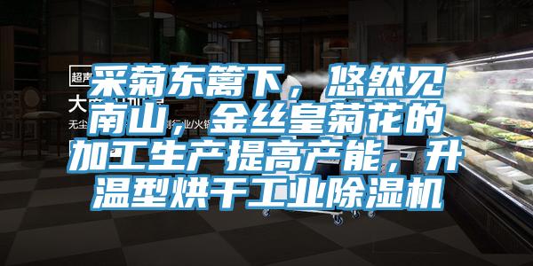 采菊東籬下，悠然見南山，金絲皇菊花的加工生產提高產能，升溫型烘干工業除濕機