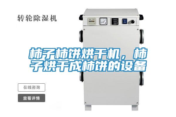 柿子柿餅烘干機，柿子烘干成柿餅的設備