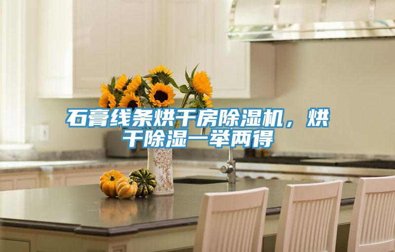 石膏線條烘干房除濕機，烘干除濕一舉兩得
