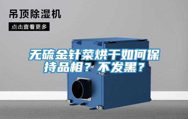 無(wú)硫金針菜烘干如何保持品相？不發(fā)黑？
