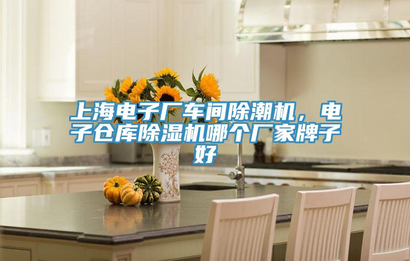 上海電子廠車間除潮機(jī)，電子倉庫除濕機(jī)哪個(gè)廠家牌子好