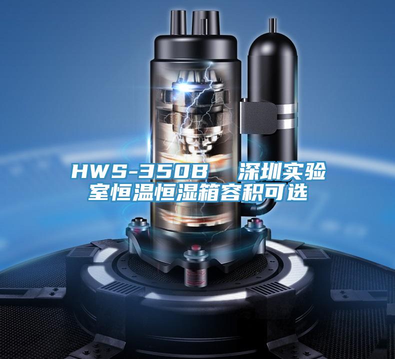 HWS-350B  深圳實(shí)驗(yàn)室恒溫恒濕箱容積可選