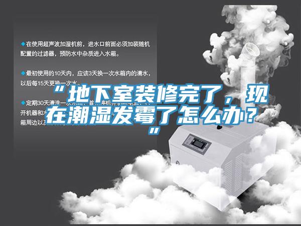 “地下室裝修完了，現(xiàn)在潮濕發(fā)霉了怎么辦？”