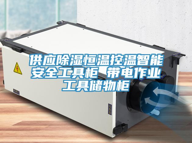 供應(yīng)除濕恒溫控溫智能安全工具柜 帶電作業(yè)工具儲物柜