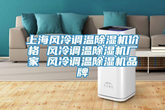 上海風(fēng)冷調(diào)溫除濕機(jī)價(jià)格 風(fēng)冷調(diào)溫除濕機(jī)廠家 風(fēng)冷調(diào)溫除濕機(jī)品牌