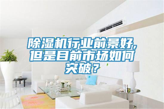 除濕機行業(yè)前景好,但是目前市場如何突破？