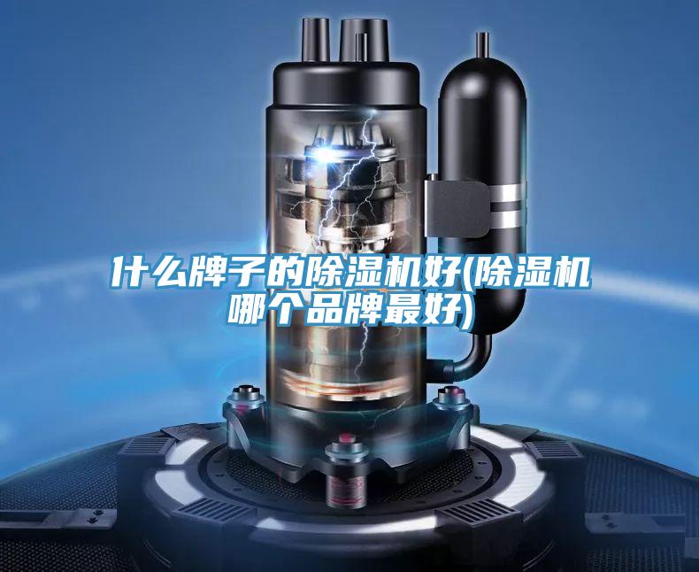 什么牌子的除濕機好(除濕機哪個品牌最好)