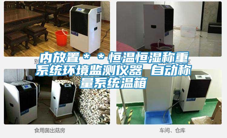 內放置＊＊恒溫恒濕稱重系統環境監測儀器 自動稱量系統溫箱