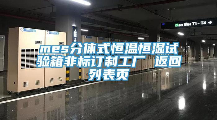 mes分體式恒溫恒濕試驗箱非標訂制工廠 返回列表頁