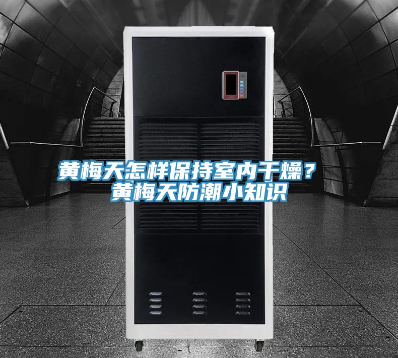 黃梅天怎樣保持室內(nèi)干燥？ 黃梅天防潮小知識(shí)