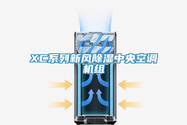 XC系列新風(fēng)除濕中央空調(diào)機組