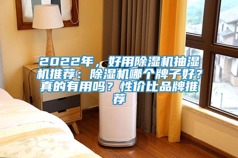 2022年，好用除濕機抽濕機推薦：除濕機哪個牌子好？真的有用嗎？性價比品牌推薦