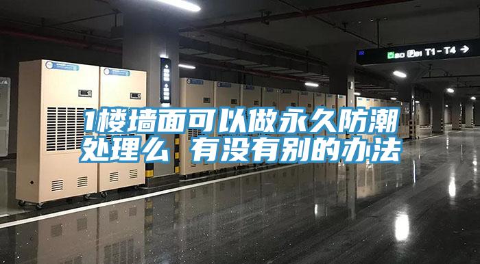 1樓墻面可以做永久防潮處理么 有沒有別的辦法