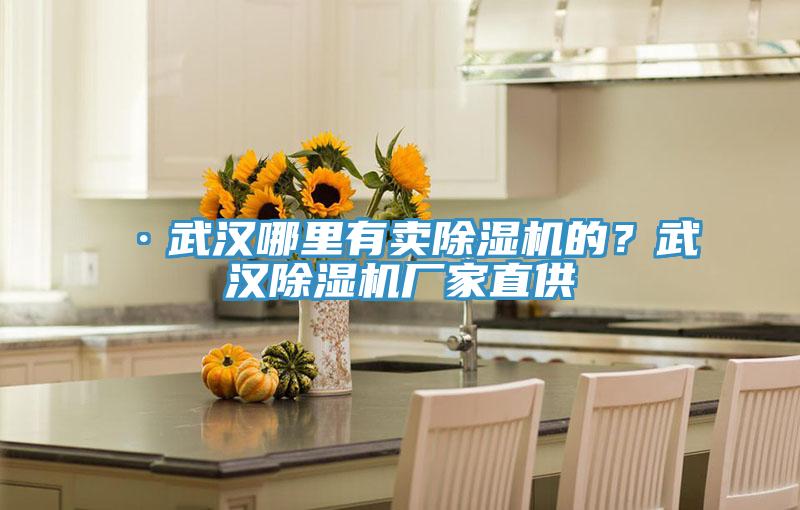 ·武漢哪里有賣除濕機(jī)的？武漢除濕機(jī)廠家直供