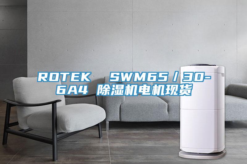 ROTEK  SWM65／30-6A4 除濕機電機現貨