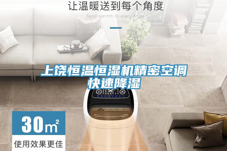 上饒恒溫恒濕機精密空調快速降濕