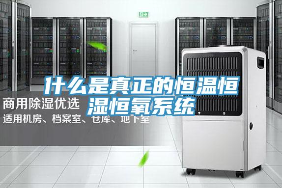 什么是真正的恒溫恒濕恒氧系統(tǒng)