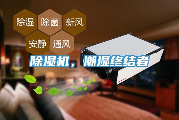 除濕機(jī)，潮濕終結(jié)者