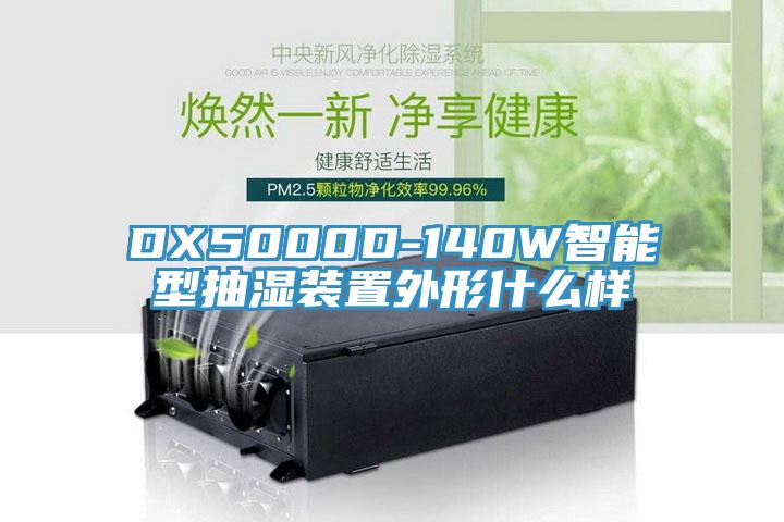 DX5000D-140W智能型抽濕裝置外形什么樣