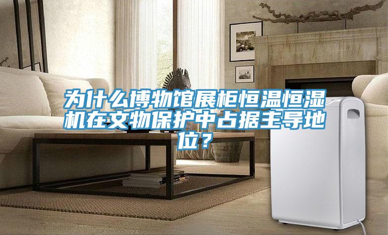 為什么博物館展柜恒溫恒濕機在文物保護中占據主導地位？