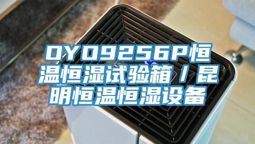 OYO9256P恒溫恒濕試驗箱/昆明恒溫恒濕設備