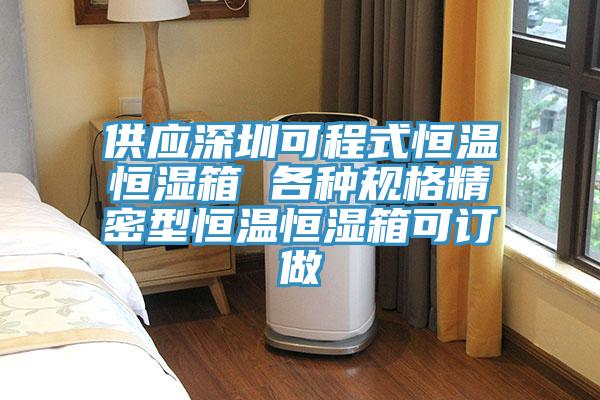 供應(yīng)深圳可程式恒溫恒濕箱 各種規(guī)格精密型恒溫恒濕箱可訂做