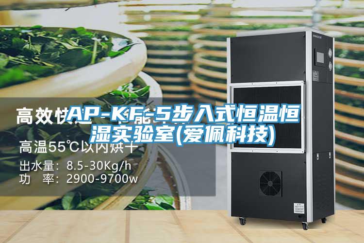 AP-KF-5步入式恒溫恒濕實驗室(愛佩科技)