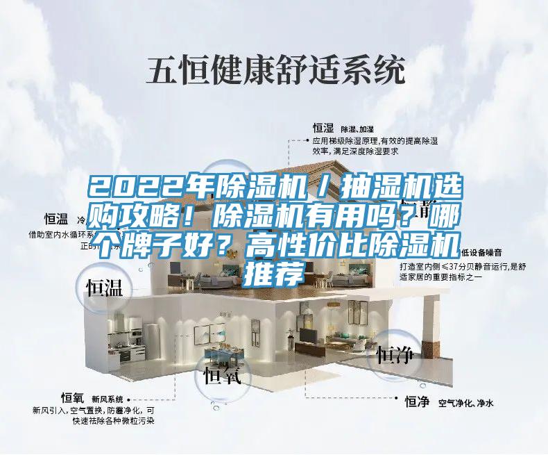 2022年除濕機／抽濕機選購攻略！除濕機有用嗎？哪個牌子好？高性價比除濕機推薦