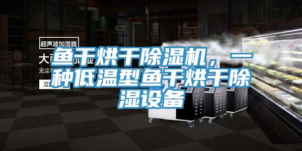 魚干烘干除濕機，一種低溫型魚干烘干除濕設(shè)備