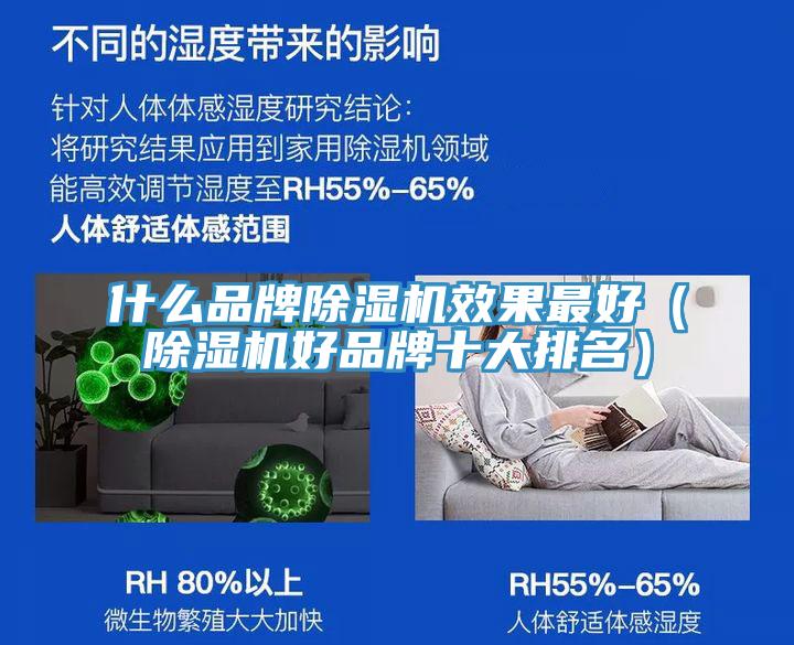 什么品牌除濕機效果最好（除濕機好品牌十大排名）