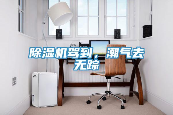 除濕機駕到，潮氣去無蹤